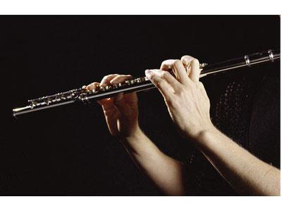 招聘岳阳长笛家教老师