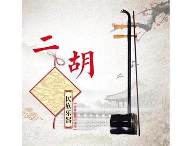 招聘岳阳二胡家教老师